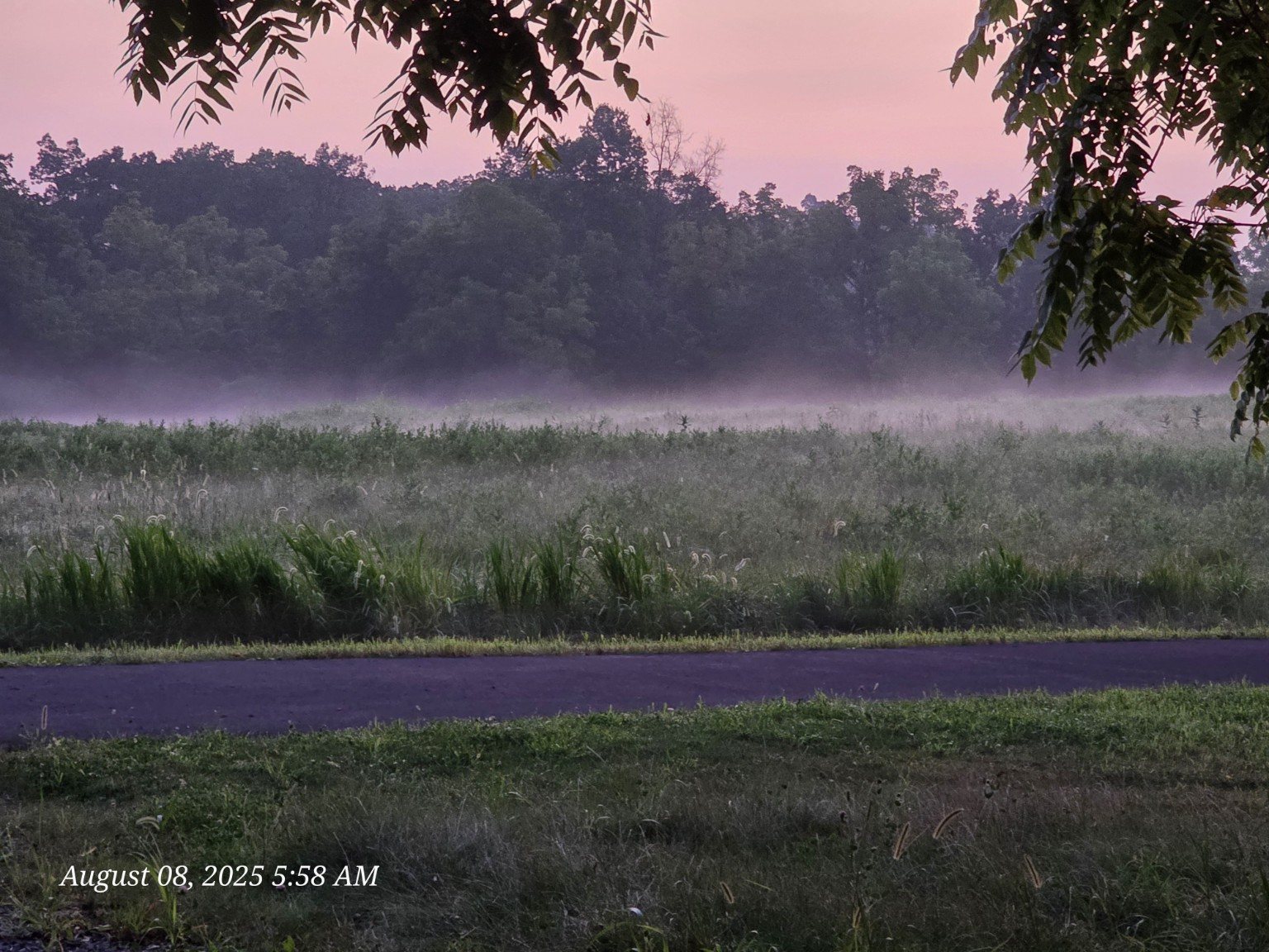Morning mist beside the paved trail leading toward George Spangler Farm
