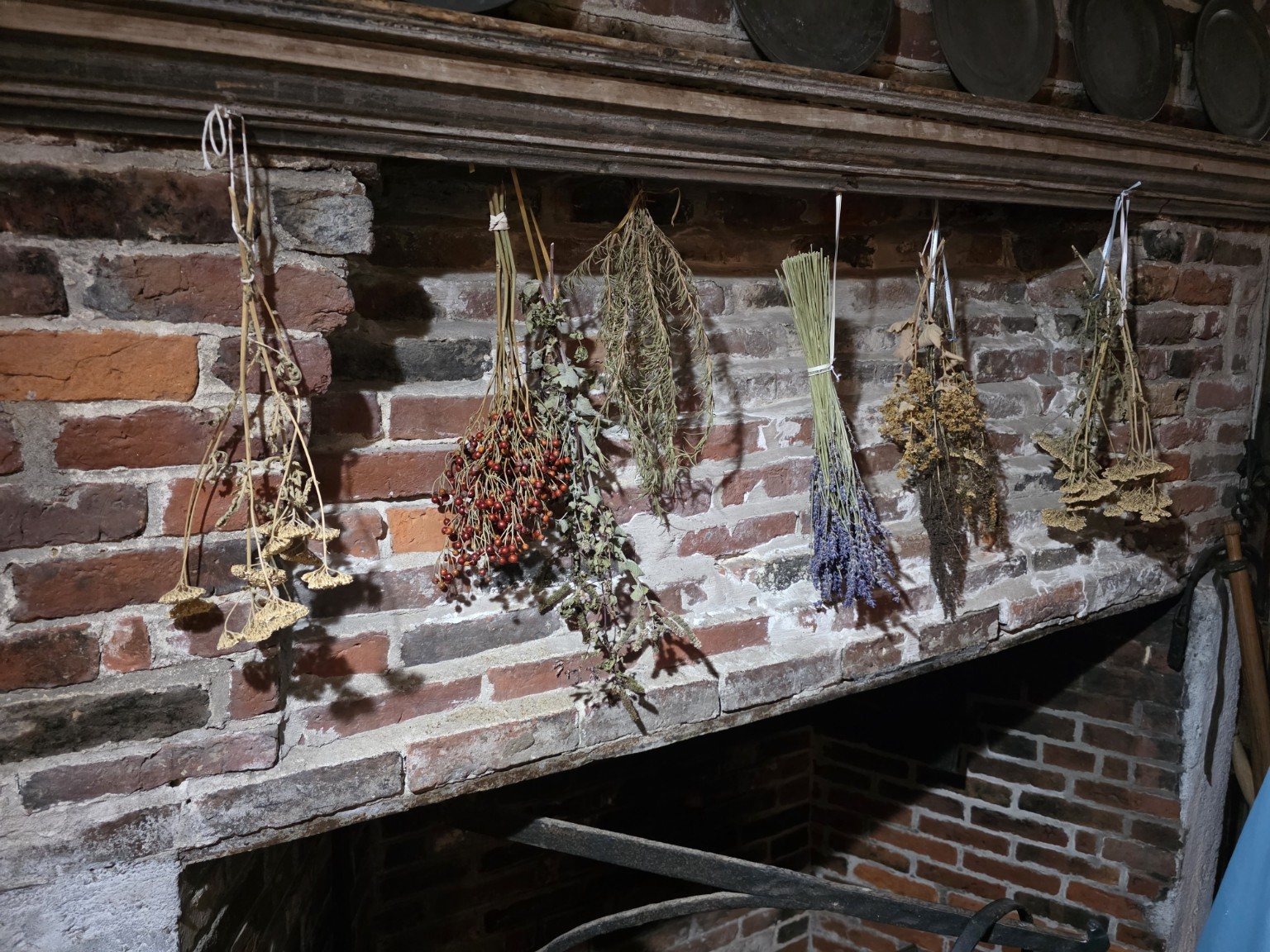 Bundles of dried herbs hanging above the brick hearth