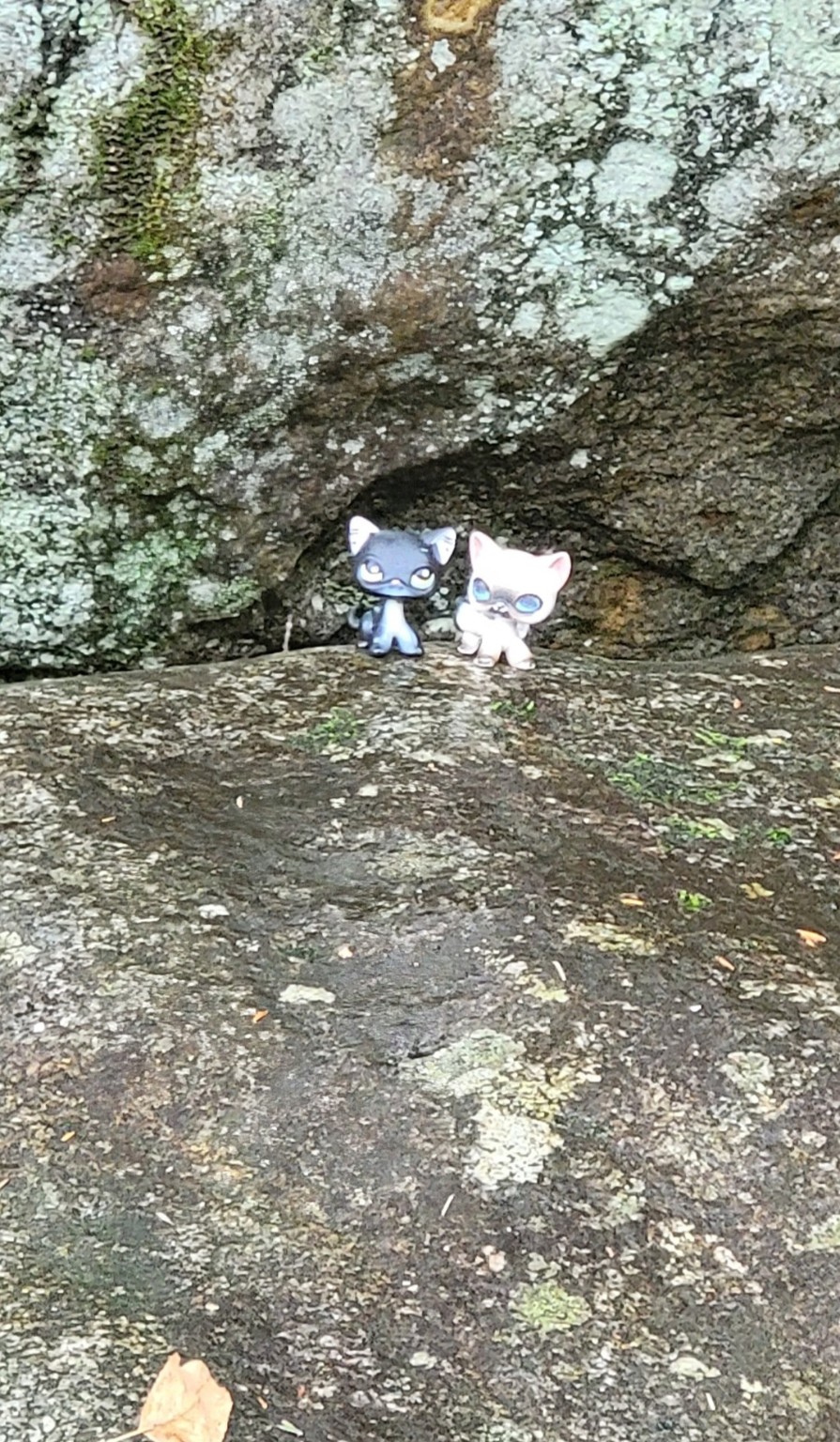 Two small cat figurines placed on a mossy rock