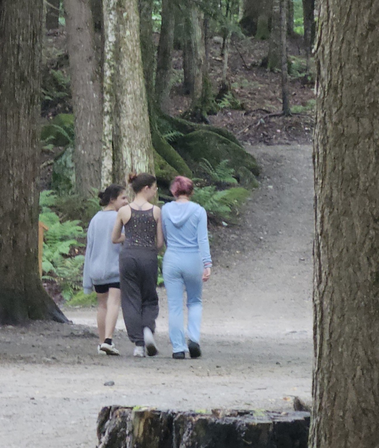 Three girls walking together through the wooded campground