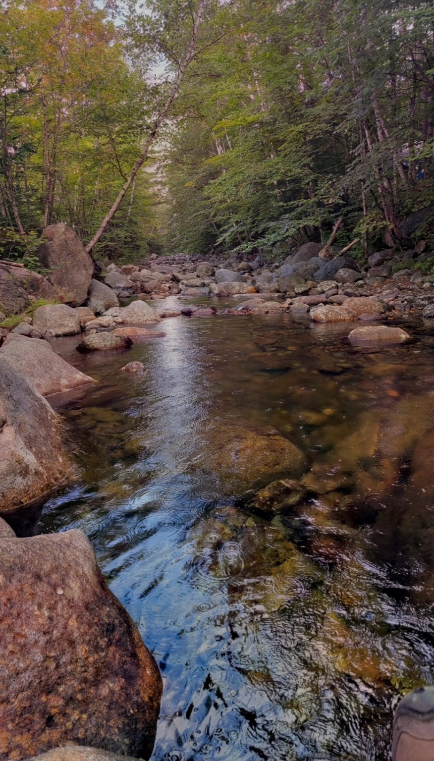 A peaceful rocky section of Lost River in the woods