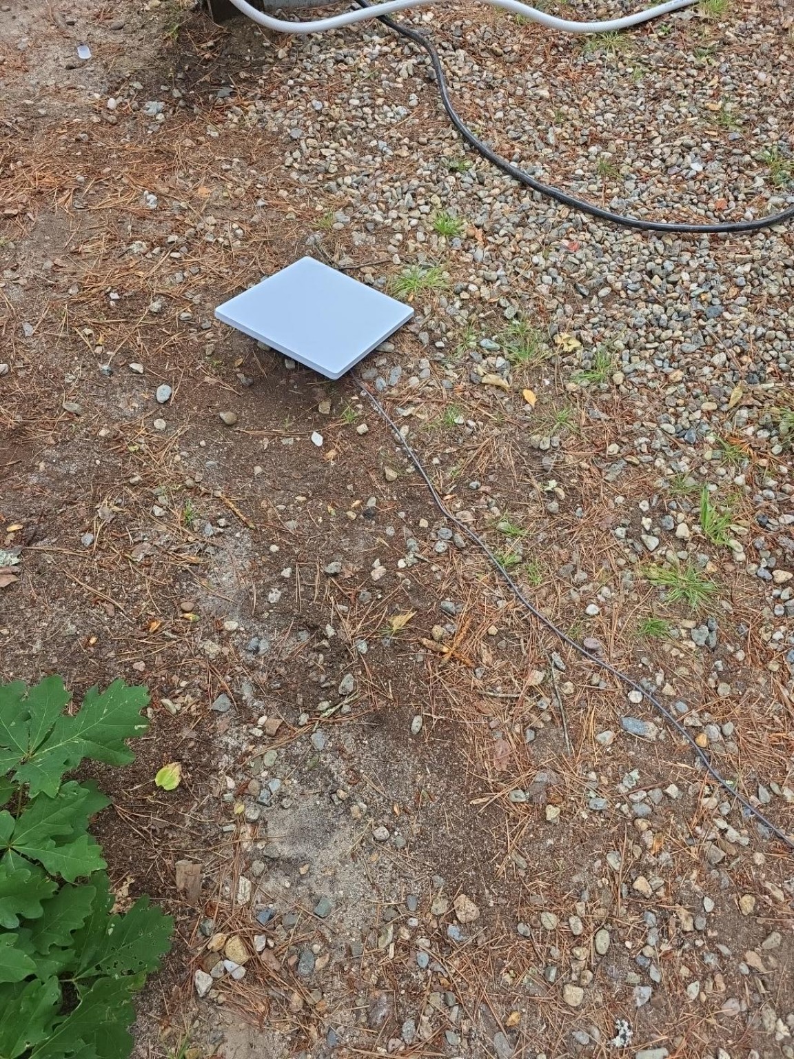 Starlink antenna at the campsite