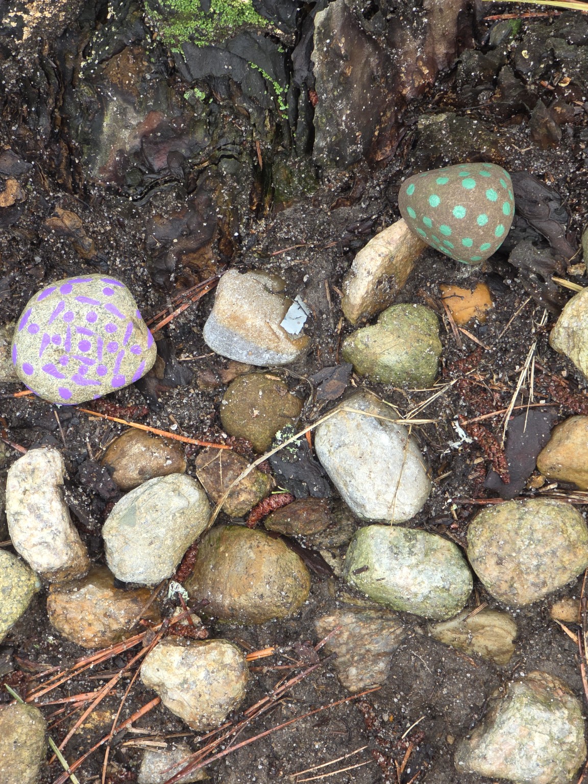 Colorful dotted rocks hidden among stones