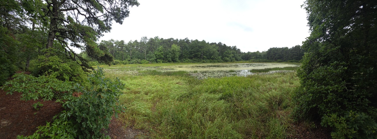 Pond and trail area at Sandy Pond Campground