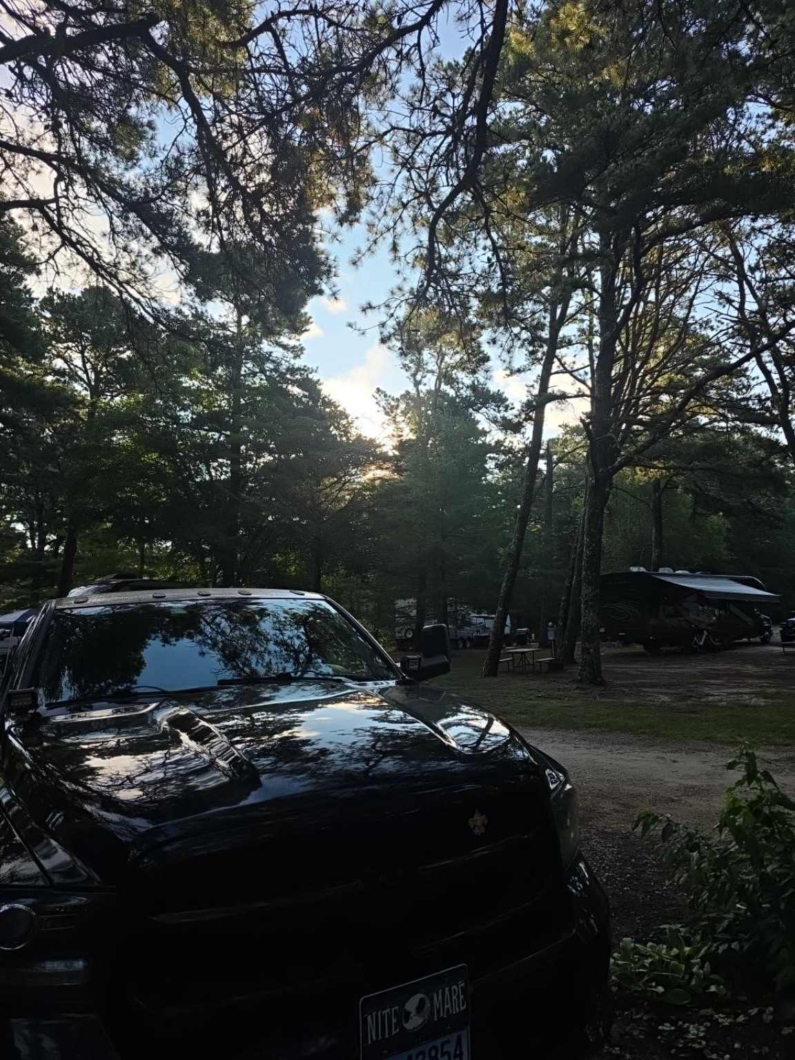 Morning sunlight filtering through the pines above the Ram at Sandy Pond Campground