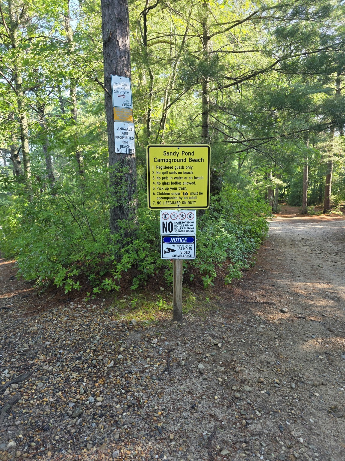 Sandy Pond Campground signs directing visitors to the beach and canoe area